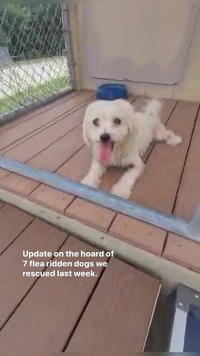 9.2K views · 627 reactions | Macsmission.org | Mac's Mission | Facebook