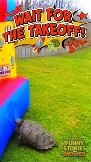 TURTLE REGRETS EVERYTHING! 🐢💨 #shorts #funny #memes