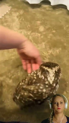 The magic of love spins around