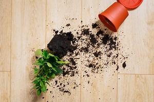 13 Things You Shouldn’t Vacuum