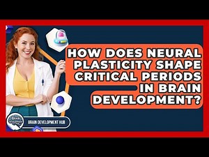 How Does Neural Plasticity Shape Critical Periods In Brain Development? - Brain Development Hub