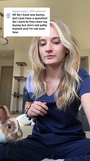 Replying to @jaylen._.777 how to litter train your bunnies 101! #fypシ #fyp #foryourpage #foryoupage