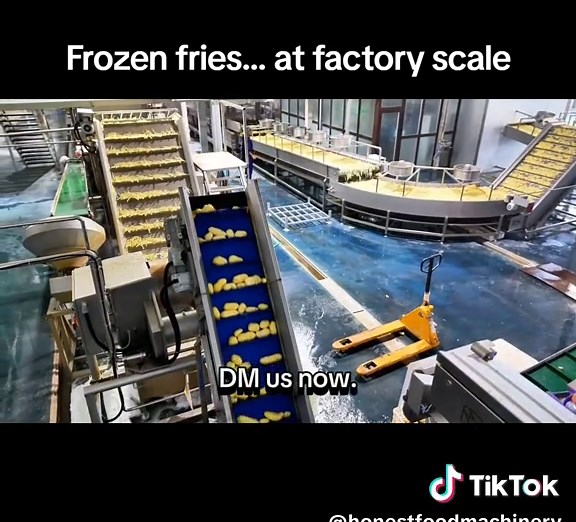 Frozen French Fries Production at Industrial Scale