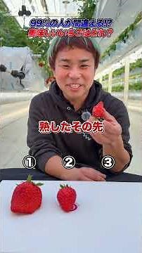 美味しいいちごの見分け方🍓