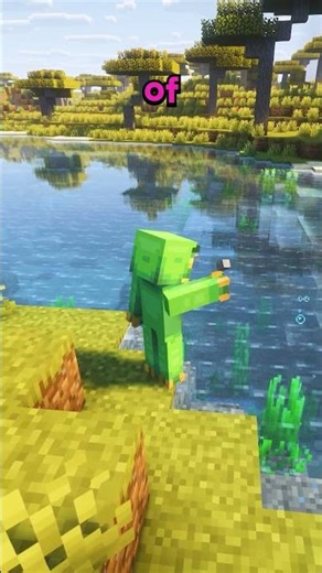 THREE UNWRITTEN RULES ON FLAMINGOMC