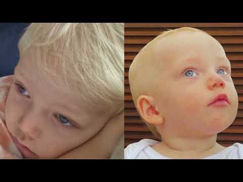 CANÇÃO PARA RAPHAEL - Instrumental