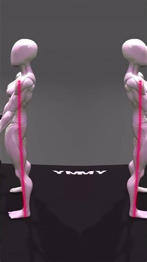 How to Perform Romanian Deadlift ( #RDL )