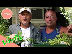 Vasili Checks Out Local Friends Garden! | Full Episode | Vasili's Garden