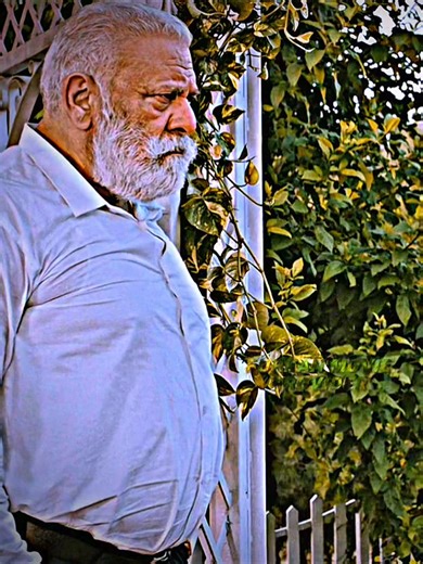 Best Punjabi Movies to Watch Right Now