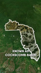 Facts about #Belize 🇧🇿 . . . #belizeplaces #travelbelize #Belizeplease #Caribbean #BelizeTravel #betterBelizeit | Belize Places