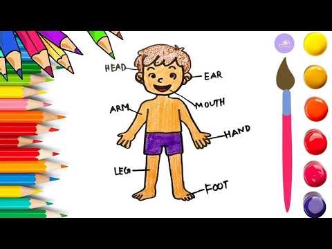 How To Draw cute Human Body Drawing, Painting & Coloring For Kids and Toddlers_🌈🎨