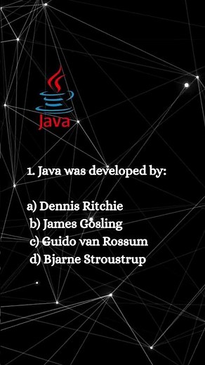 Who Developed Java?