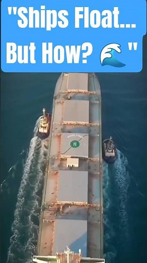 🚢 How Do Ships Float on Water? | Science Explained 🌊