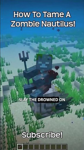 How To Tame A Zombie Nautilus In Minecraft?!