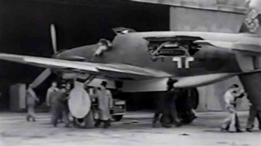 Dornier Do 335: The Fastest Piston Fighter of WWII