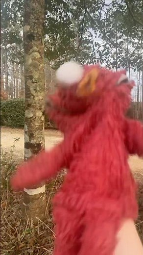 elmo world carnivals quiz