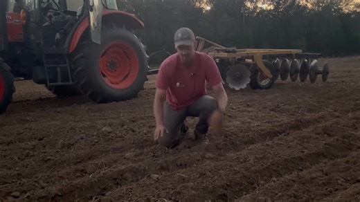 Your conventionally tilled food plots will perform better when you pay close attention to seed bed preparation. It’s one of the most important steps in the process and can make or break your plot for months to come. Our preferred order of operations in disked/tilled plots: 1: disk or till to create a FINE seed bed 2: cultipack 3: plant 4: cultipack again General rule of thumb: if, after you finish disking, your boot sinks more than 1” into the fluffy seedbed, it should be cultipacked prior to AN