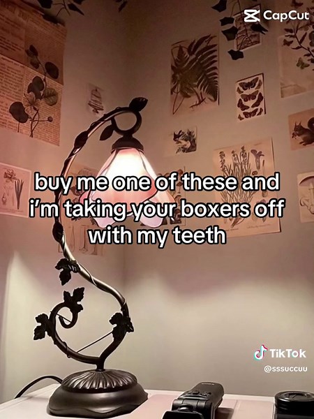 Unique Tiffany Lamp Finds in Op Shops | Whimsigoth Fairycore