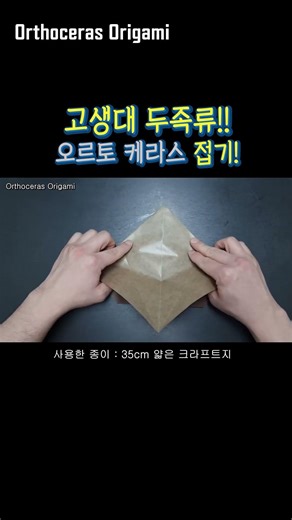 고생대 두족류! 암모나이트 오르토케라스 Orthoceras Origami 종이접기