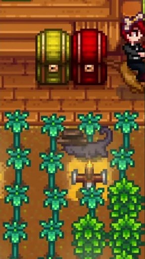 🍲 What you NEED to bring on the Pelican Town Luau in Stardew Valley 🏖️
