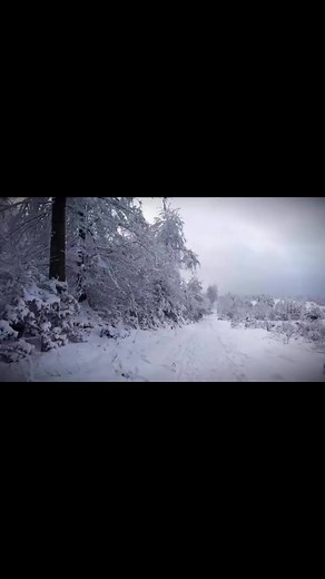 2.6K views · 50 reactions | #markusbeckerkinderlieder | Markus Becker | Facebook