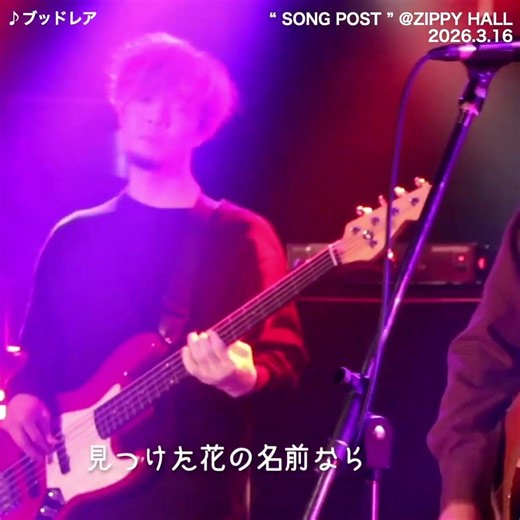 micro micron ｰ「ブッドレア」1st ONE-MAN LIVE _ SONG POST _ #shorts #micro micron #バンド #札幌 #ライブ