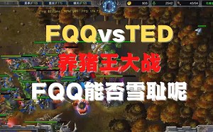 334 FQQ vs TED 养猪王大战，FQQ能否雪耻呢