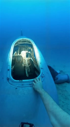 Underwater Alien Encounter: Diver Captures Unseen Creatures