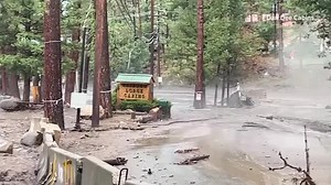Flash floods rush through forested cabins in New Mexico