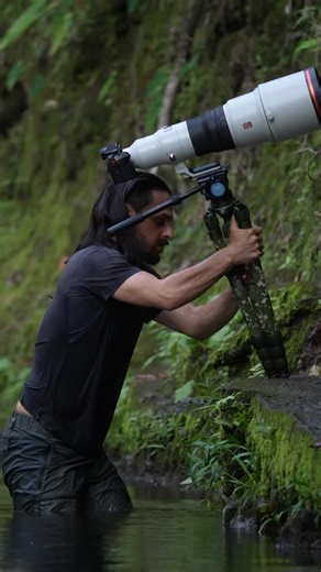 Sasan Amir | Wildlife Photographer on Instagram: "Stay with me and see what I just captured 🌎🌿 You want more inspiring wildlife videos in your feed - then make sure follow! #wildlife"