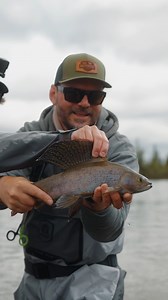 Arctic grayling action in Manitoba’s remote wilderness! Stunning fish, crystal-clear waters, and unforgettable moments at Munroe Lake Lodge! Watch the full adventure—link below! https://manito.ba/Munroe-Lake-Lodge #MunroeLakeLodge #GraylingFishing #FishingManitoba #MasterAngler #FlyInFishing #HuntFishMB | Fishing & Hunting in Manitoba