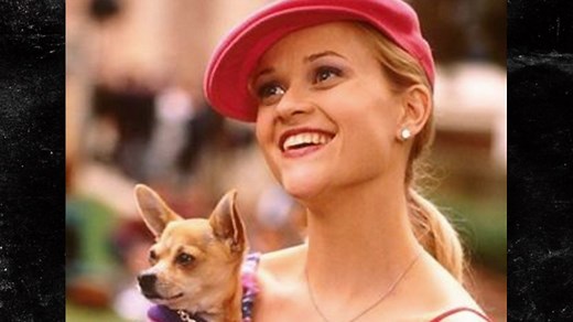 'Legally Blonde' Chihuahua Dies