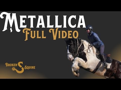 Metallica - FULL VIDEO || Gypsy x Friesian || Draft Cross