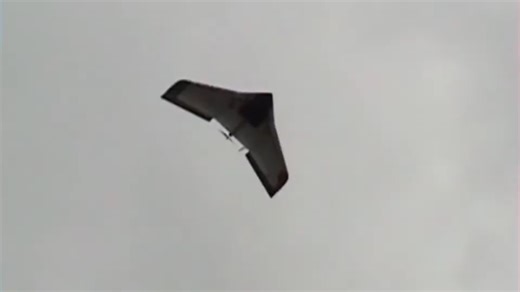 Wild Wing Maiden Flight Performance Test