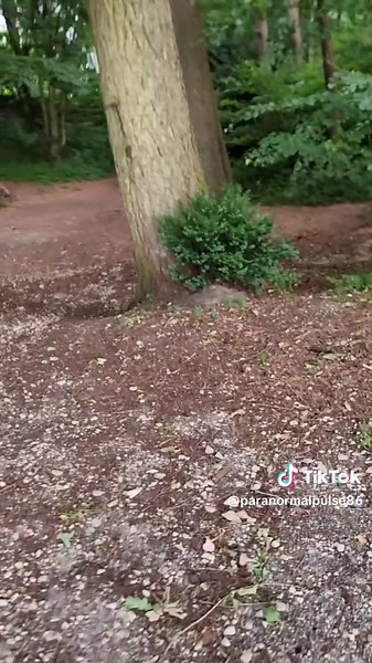 Paranormale Untersuchung – Teil 1. Wir zeigen euch, was wir bei dieser Untersuchung erlebt haben. Das vollständige Video ist auf YouTube zu sehen: https://m.youtube.com/@paranormalpulse-o5w Beobachtungen oder Beweise? Diskutiere mit – in der offiziellen Telegram-Gruppe: https://t.me/ParanormalPulse #ghostradio #ghostball #paranormaldeutschland #paranormaleuntersuchung #paranormale #paranormalactivity #spuk #tiktokparanormal #paranormaluntersuchung