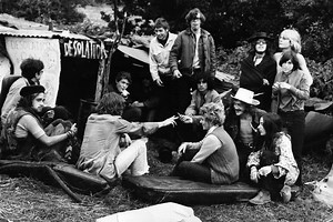 Wwhat has happened to the Hippies, New Age Travellers and Eco Warriors of yesteryear?