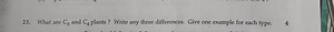 23. What are C3​ and C4​ plants ? Write any three differences. ... | Filo