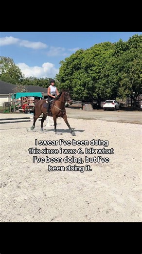 The Importance of Continuing Horseback Riding Lessons