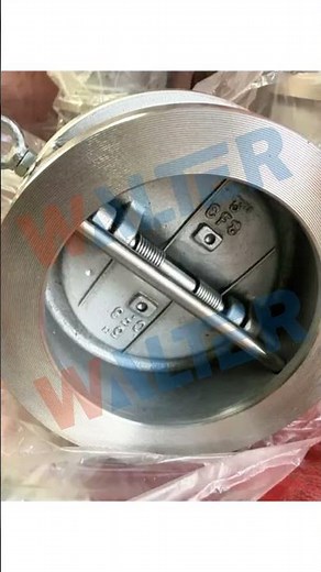 Walter DDCV Dual Plate Wafer Check Valve