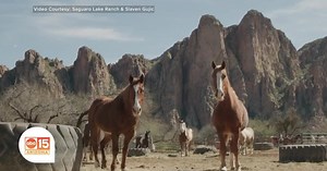 Saguaro Lake Guest Ranch offers adventures in the splendor of nature