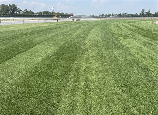 Belmont Park Mini Plans for 2027 Now Available