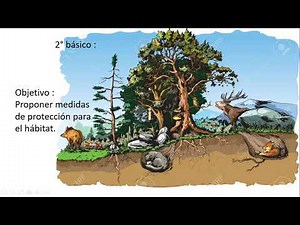 medidas de proteccion al habitat