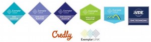 Individual Digital Badges - Exemplar Global