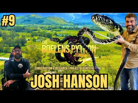 Episode 9: Josh Hanson Designing for Success: Enclosures, Care, and Reproduction of Boelens Pythons”