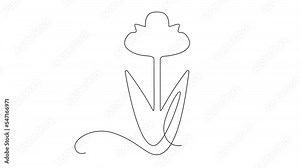 Continuous Thin Line Flower Drawing Animation, Minimalist Botanical Drawing, One Line Art Flowering Blossom Animated Illustration, Single Floral Outline, Simple Plant Draw
