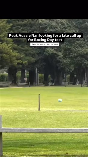 @dandoesfooty on Instagram: "Debut ton against England coming up 🎥 kdo124"