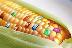 Why Genetically Engineered Food Is Dangerous: New Report By Genetic Engineers