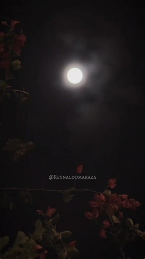 #oracióndelanoche🙏🏻🌛🙌🏻♥️ #BuenasNoches #bendiciones #reflexionesdelavida