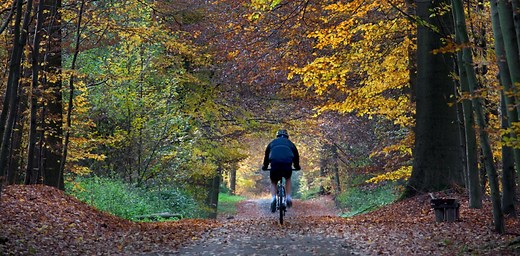 Belgium’s euthanasia trends dispute ‘slippery slope’ argument – new study