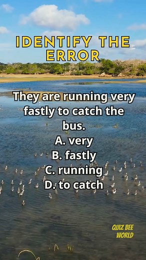 113K views · 2.6K reactions | Identify The Error 128 #English #englishgrammar #englishlesson #englishlearning #quiz | Quizbee World | Facebook